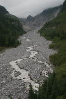 Nisqually Glacier terminus